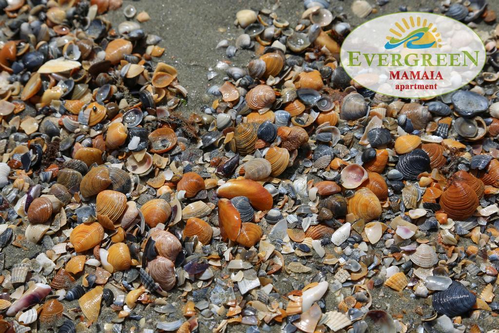 Evergreen Vlas Mamaia Sud Экстерьер фото